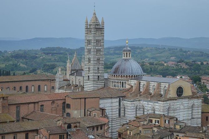 Exclusive Private Tour to Siena and San Gimignano - Accessibility and Participation