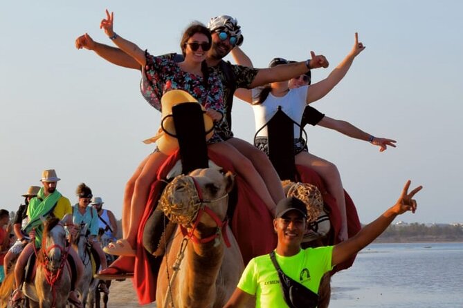 Explore Djerba With Our Four-Legged Friends - Special Considerations