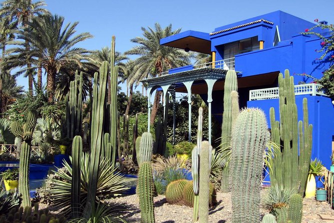 Exploring Marrakesh in Half-Day Sightseeing Tour - Strolling Through Majorelle Gardens