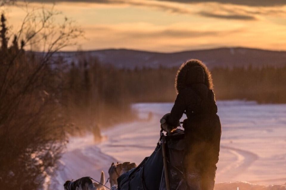 Fairbanks: Mush on the Historic Yukon Quest Trail - Mushing Lifestyle Exploration