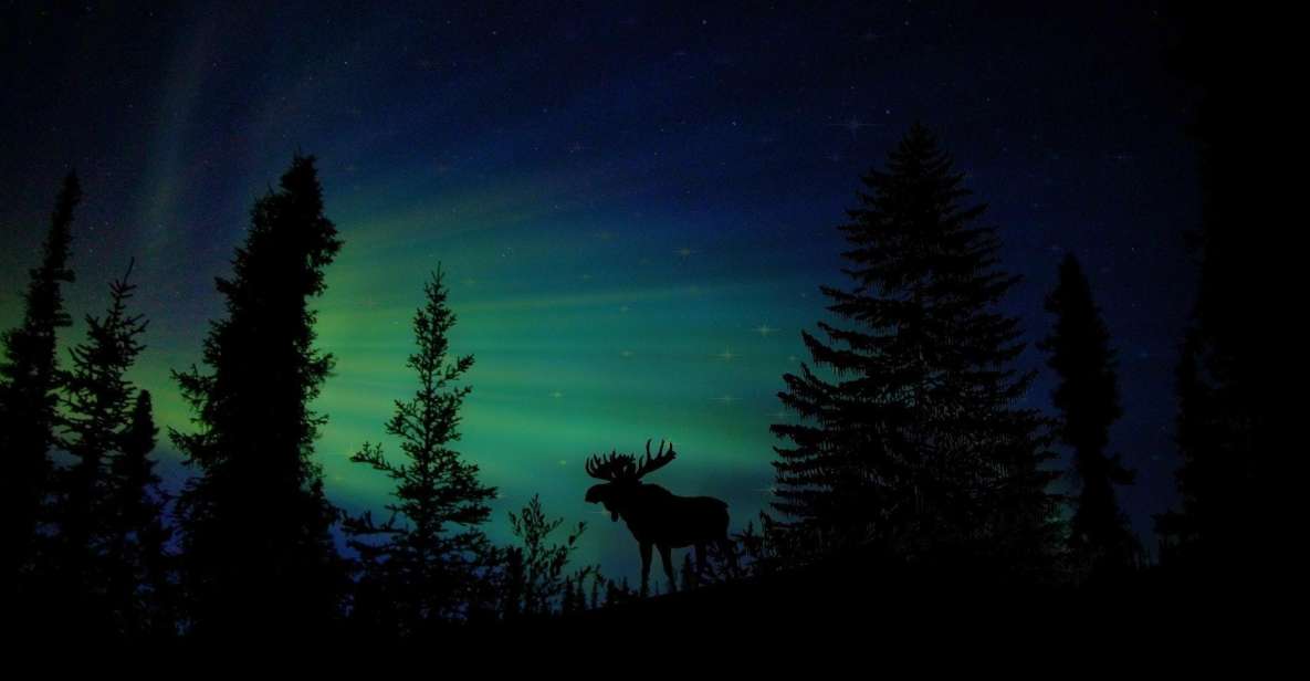 Fairbanks: Northern Lights and Chena Hot Springs Tour - Inclusions