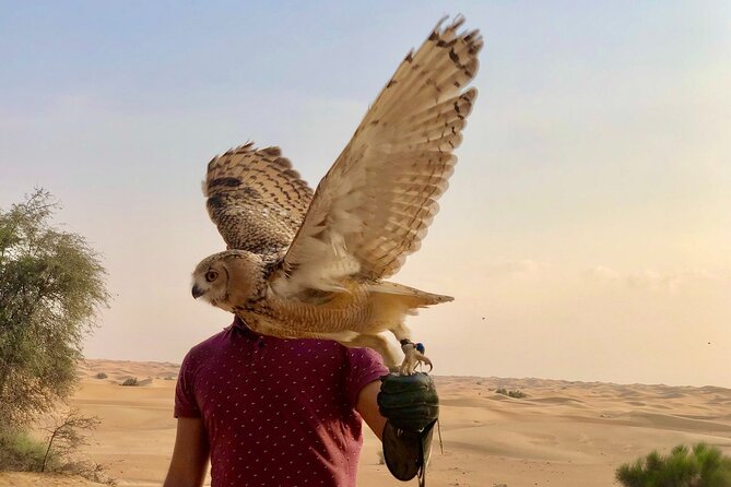 Falcon 1—Private Dubai Falconry Safari - Guided by Professional Trainers