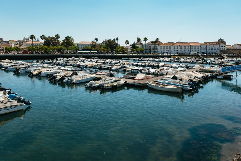 Faro: Deserta Island and Farol Island Catamaran Boat Trip - Catamaran Cruise Experience