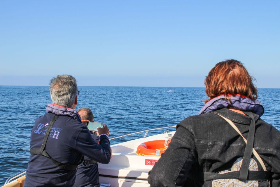 Faro: Dolphin and Marine Life Watching Boat Tour - Departure and Group Size