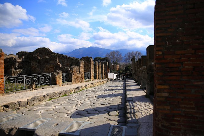 Fast Access Exclusive Private Ancient Pompeii Half Day Tour With Local Guide - End Point and Return