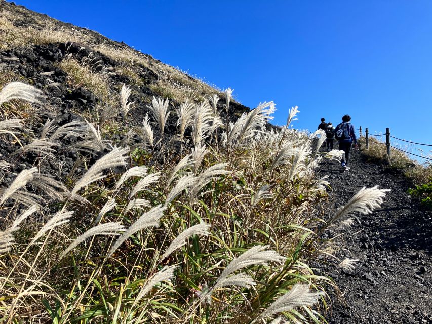 Feel the Volcano by Trekking at Mt.Mihara - Experience Highlights