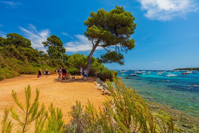 Ferry From Cannes to the Island Ste Marguerite - On-Island Amenities