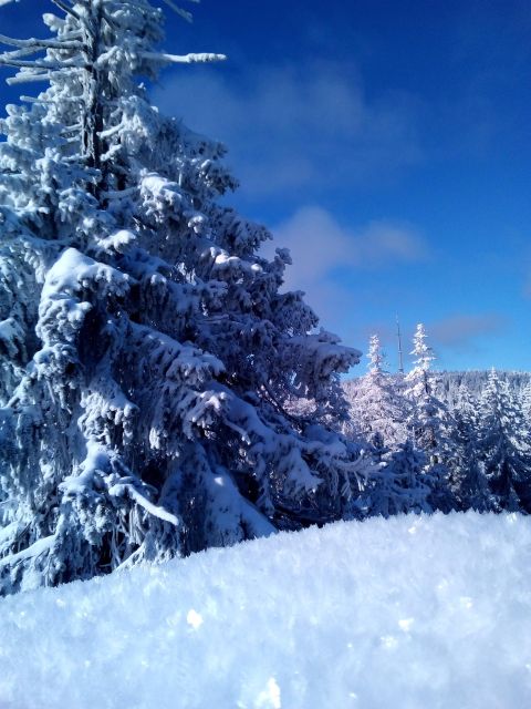 Fichtelgebirge: Snowshoe Hike - Whats Included