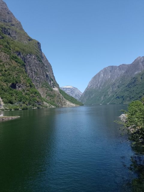 Flåm: Borgund Stave Church, Lærdal, and Stegastein Tour - Transportation and Inclusions