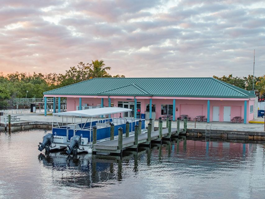 Flamingo Marina: Backcountry Boat Tour of the Everglades - Highlights and Experience