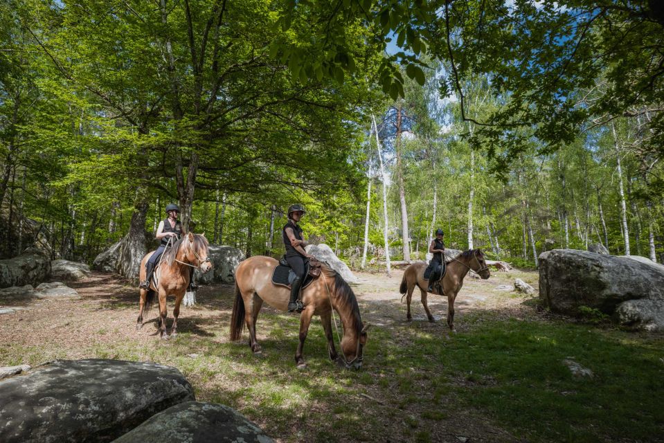 Fontainebleau: Horse-riding, Gastronomy & Château - Itinerary Overview