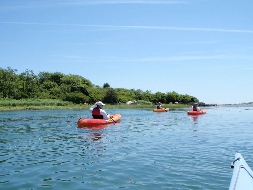 Fort Myers: Guided Kayak or SUP Tour in Pelican Bay - Included Equipment and Safety