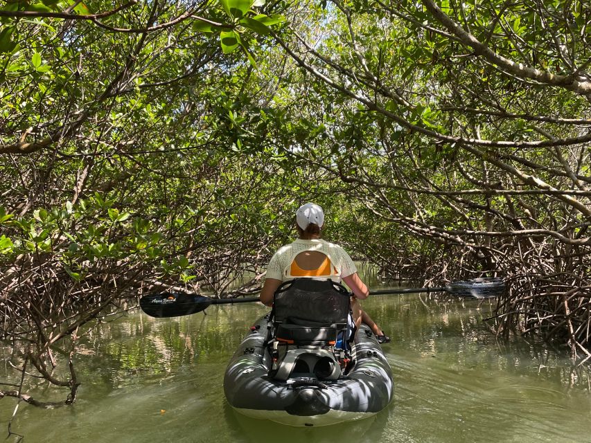 Fort Pierce: 2-hr Jungle Tour at Prehistoric Preserve in FL - Exploring the Jungle