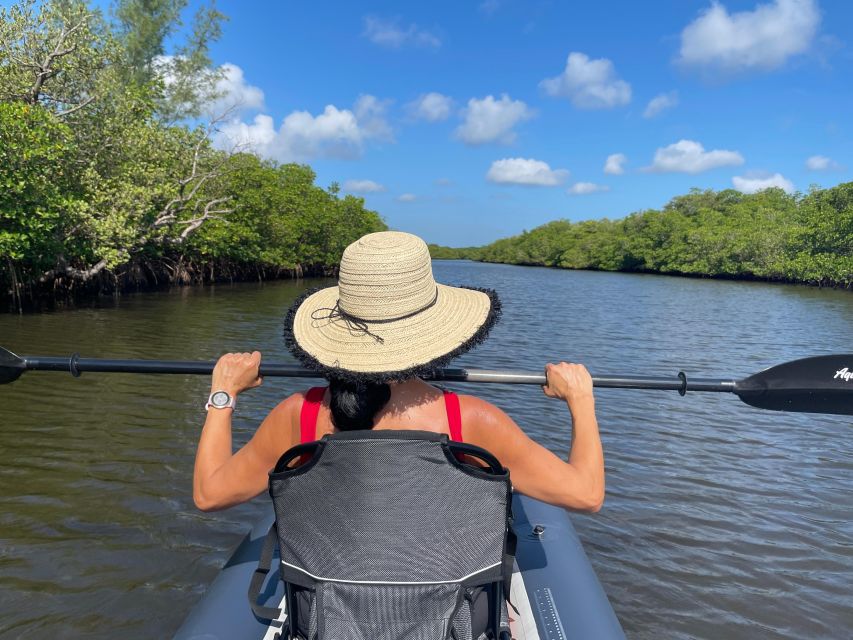 Fort Pierce: 4-hr Mangroves & Dolphin Watch Sandbar in FL - Itinerary and Highlights