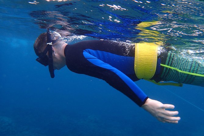 Four Winds Molokini Snorkeling Tour From Maalaea Harbor - Itinerary and Amenities