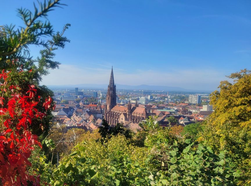 Freiburg - Historic Walking Tour - Halls of Government and Justice