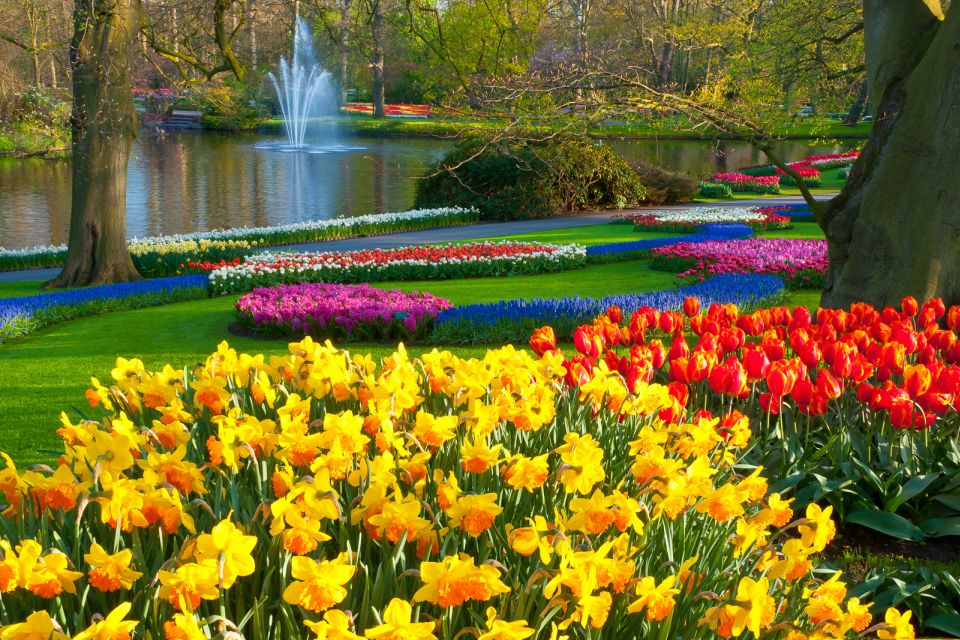 From Amsterdam: Keukenhof Flower Park Transfer & Ticket 2025 - Highlights of the Experience