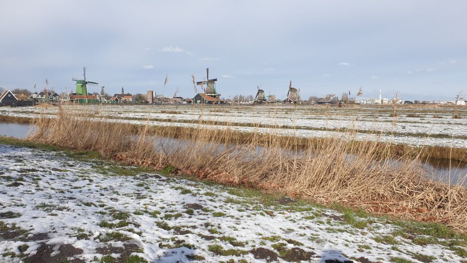 From Amsterdam: Small Group Zaanse Schans and Volendam Tour - Transportation and Guides