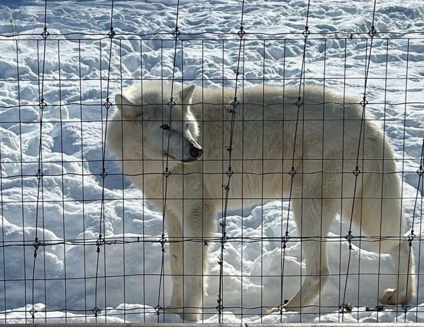 From Anchorage: Alaska Wildlife Center & Turnagain Arm Tour - Booking Information