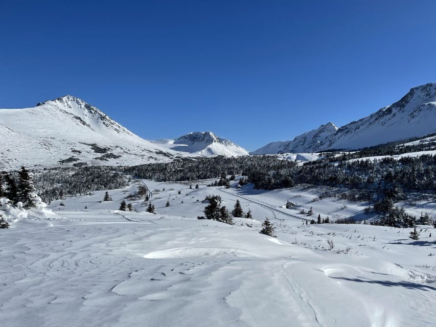 From Anchorage: Glen Alps Beginners Snowshoeing Adventure - Frequently Asked Questions