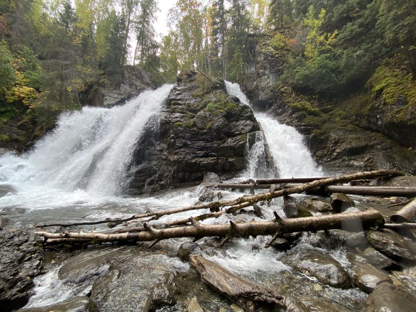 From Anchorage: Valley and Forest Hike With Naturalist Guide - Included in the Tour