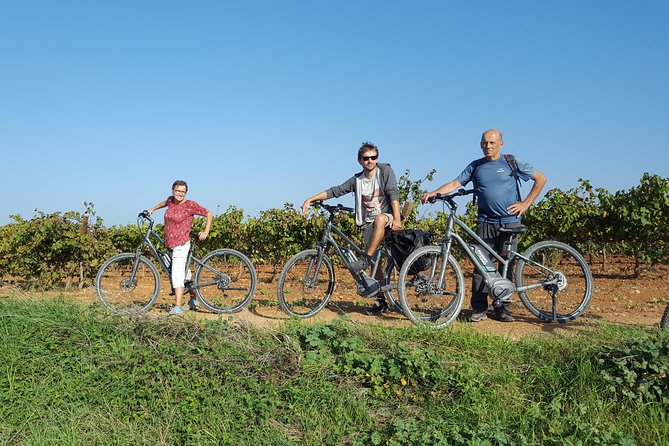 From Barcelona: E-Bike Tour in the Vineyards With 2 Wineries - Bike and Gear