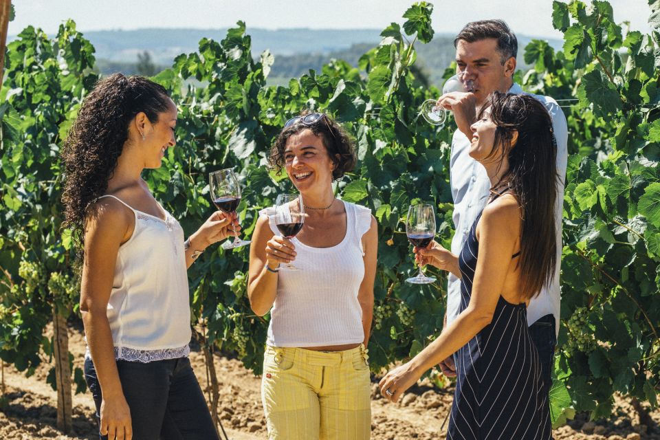 From Barcelona: Penedés Vineyards Tour by 4WD W/Wine & Cava - Transportation