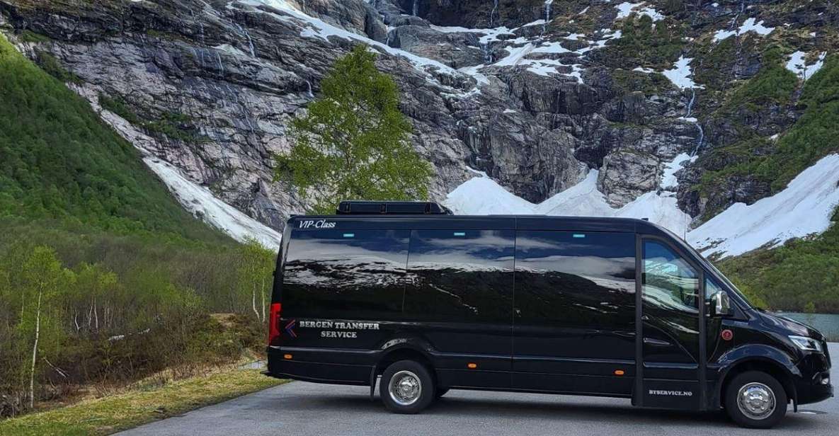 From Bergen: Private Transfer to Gudvangen - Luxury Transportation Options Explained