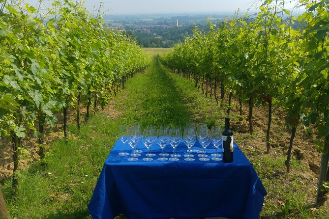 From Bologna: Wine Tasting and Vineyard Tour With the Winemaker - Reviews and Experiences