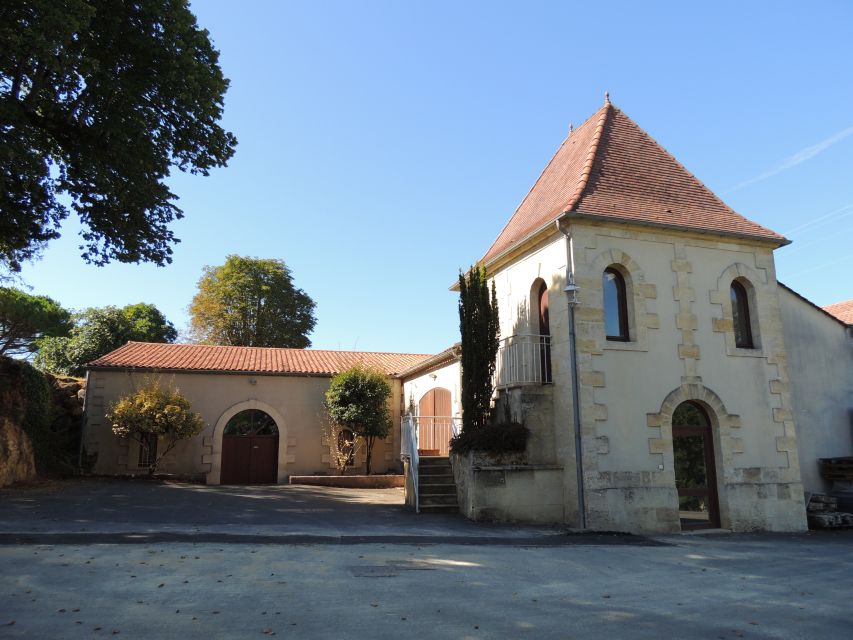 From Bordeaux: Saint-Émilion Food and Wine Tour - Picnic at Château