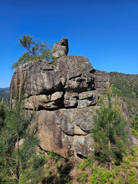 From Braga: Full-Day Tour in Gerês National Park - Highlights