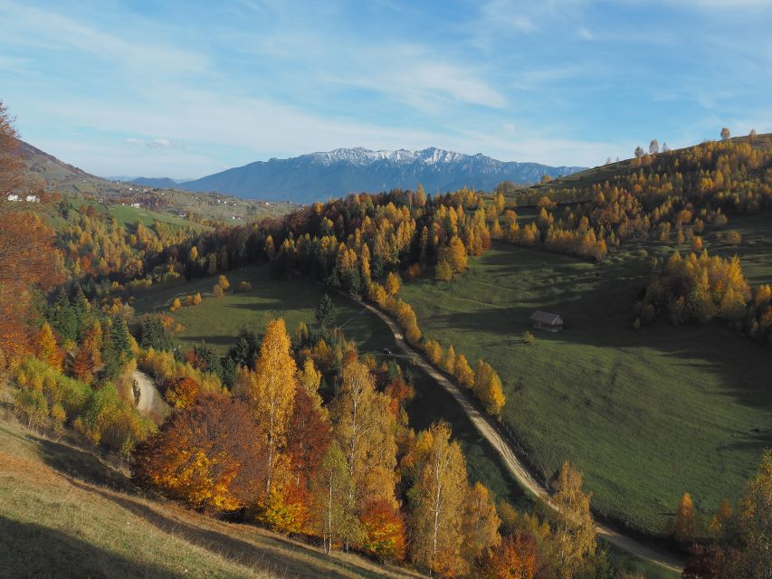 From Brasov: Piatra Craiului National Park 2-Day Guided Trek - Highlights and Attractions