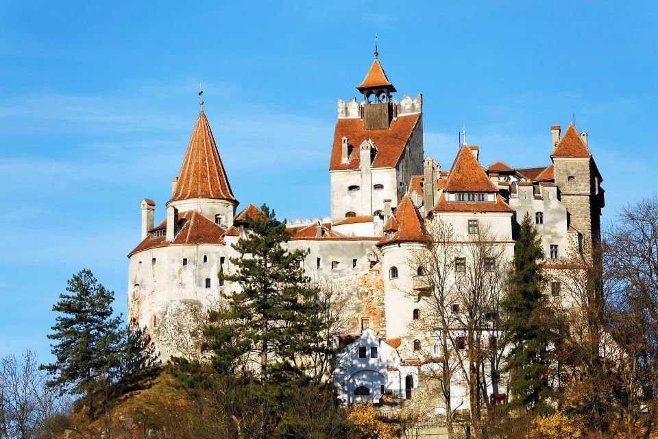 From Bucharest: Libearty Bear Sanctuary and Draculas Castle - Sanctuary and Castle