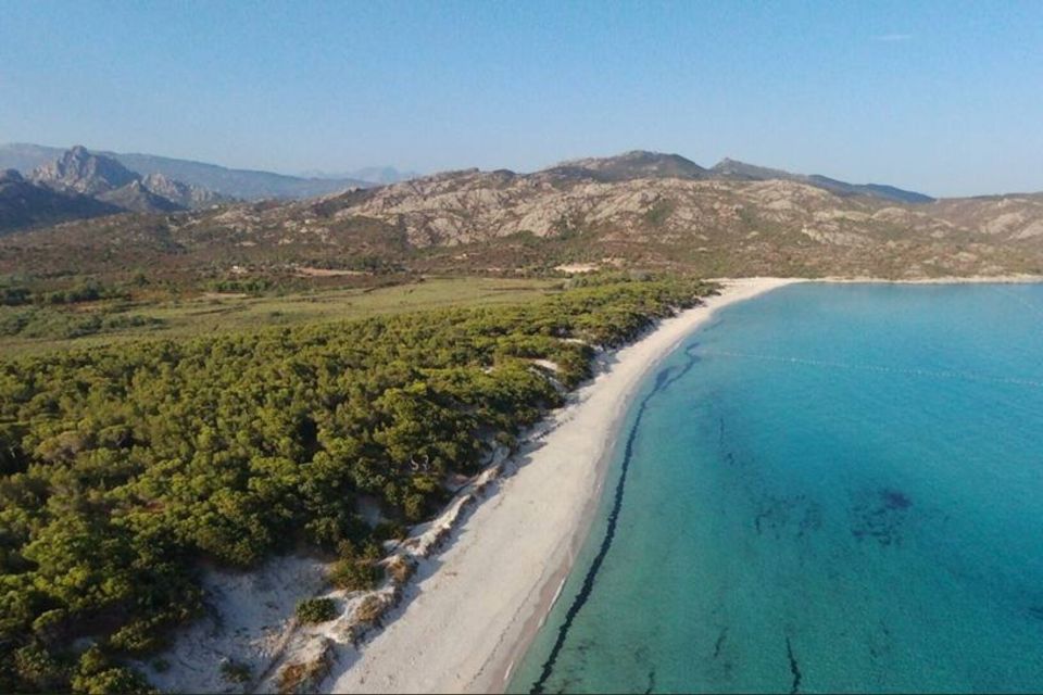 From Calvi: 4x4 Day Tour Mountain & Agriates Saleccia Beach - Panoramic Views of Corsica