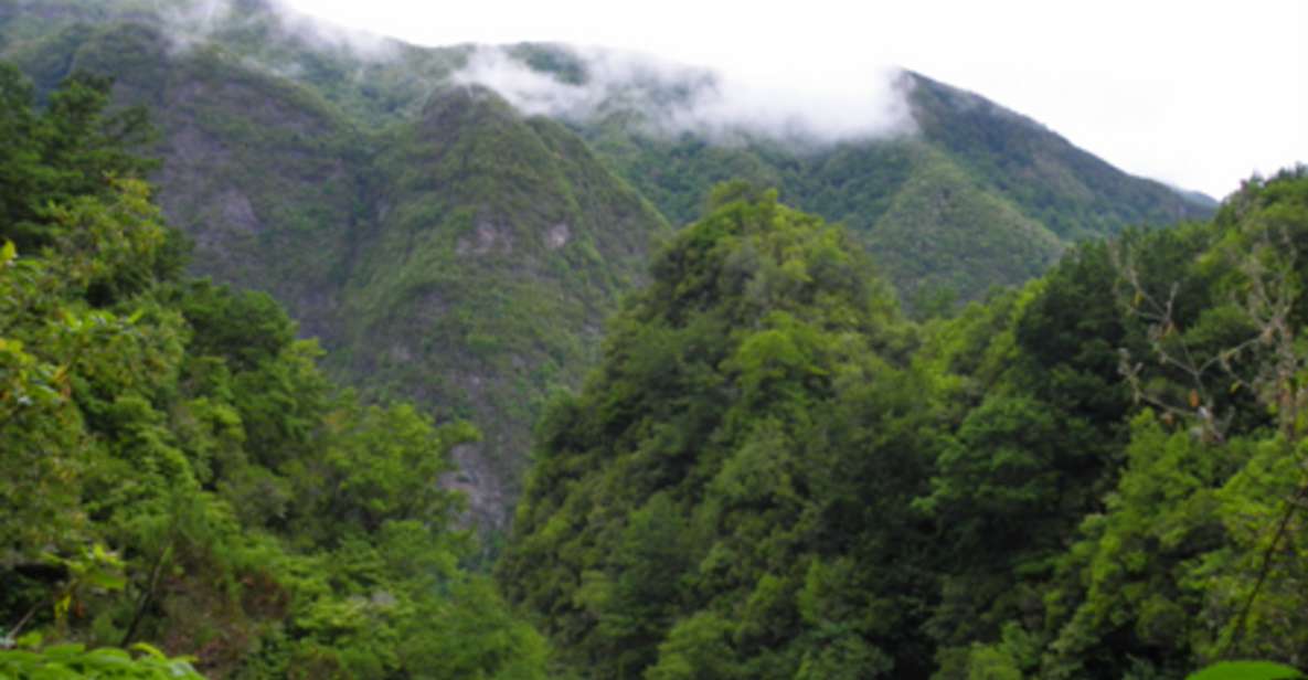 From Caniço/Funchal: Levada Caldeirão Verde Hiking Trip - Highlights