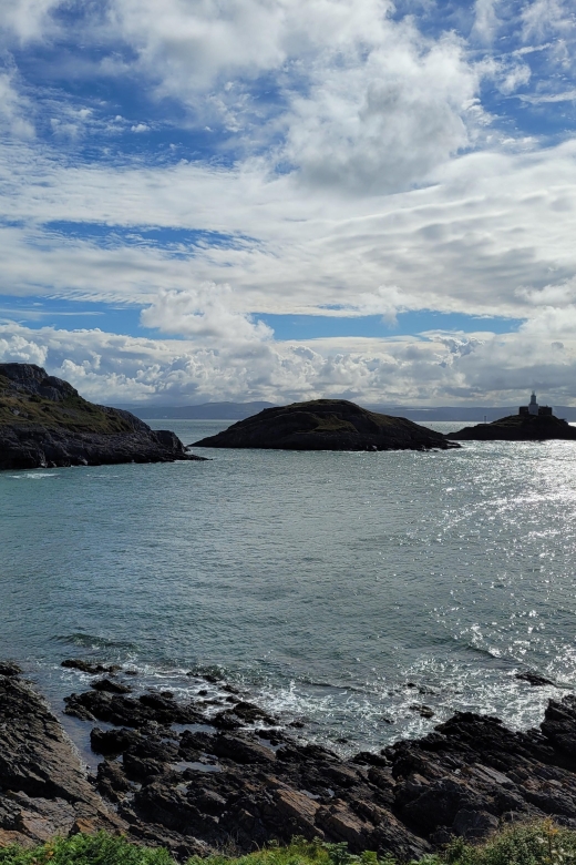 From Cardiff: The Wandering Bards Swansea Bay Day Tour - Highlights of the Tour