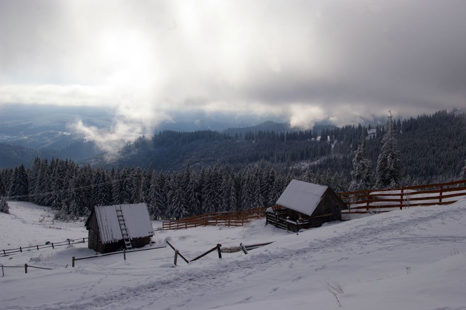 From Cluj-Napoca: Day Hike to Vlădeasa Peak - Itinerary Details