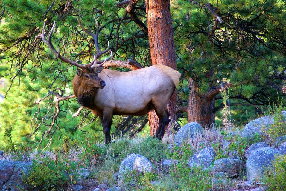 From Denver: Hike the Rockies Tour - Meeting Point and Schedule