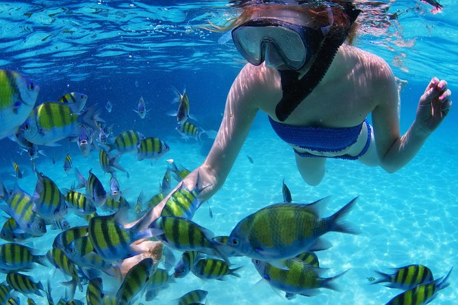 From Dubai: Snorkeling Trip in Fujairah - Cruise Along the East Coast