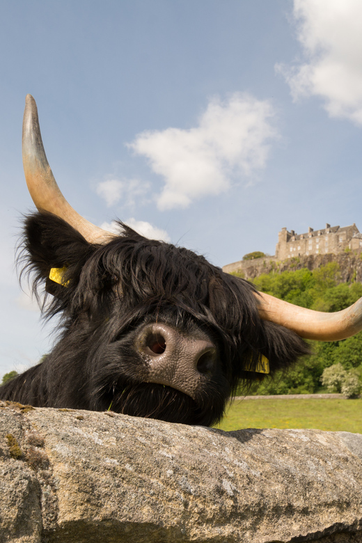 From Edinburgh: Loch Lomond, Stirling Castle & Kelpies Tour - Loch Lomond Exploration