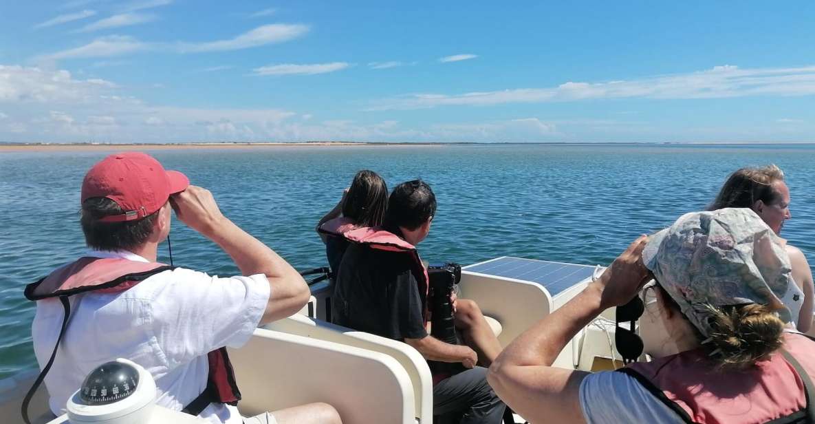 From Faro: Ria Formosa Eco-friendly Solar Boat Tour - Inclusions and Exclusions