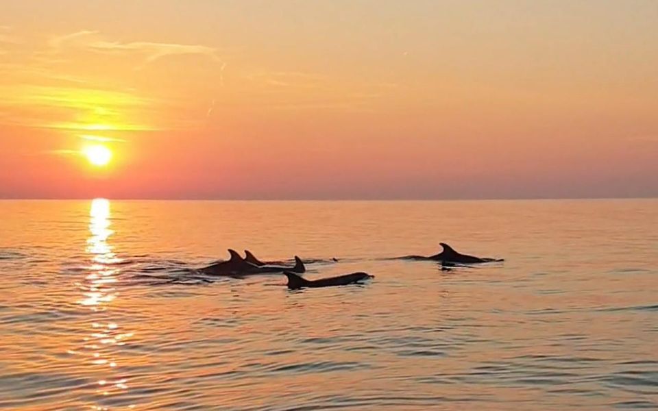 From Fazana: Private Dolphin Search & Sunset Cruise - Itinerary and Inclusions