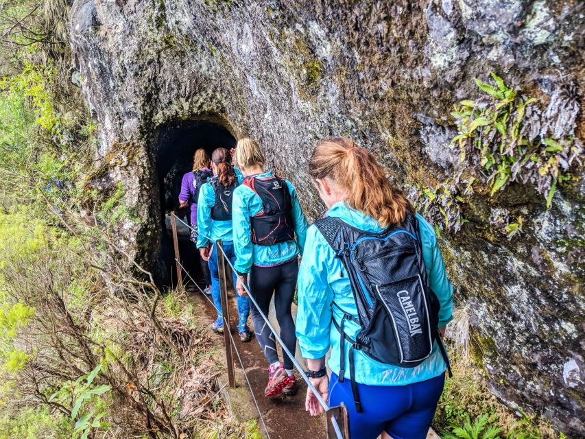 From Funchal: Easy to Moderate Green Levada Running Tour - Experience Highlights