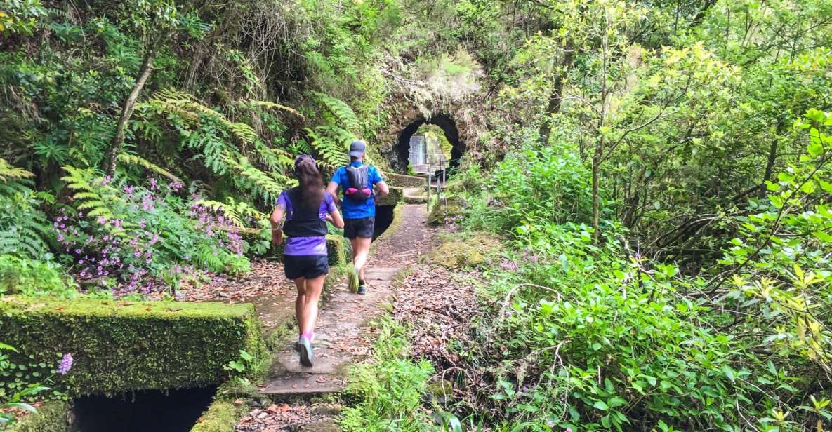 From Funchal: Folhadal Trail Running Tour (Moderate) - Experience Highlights