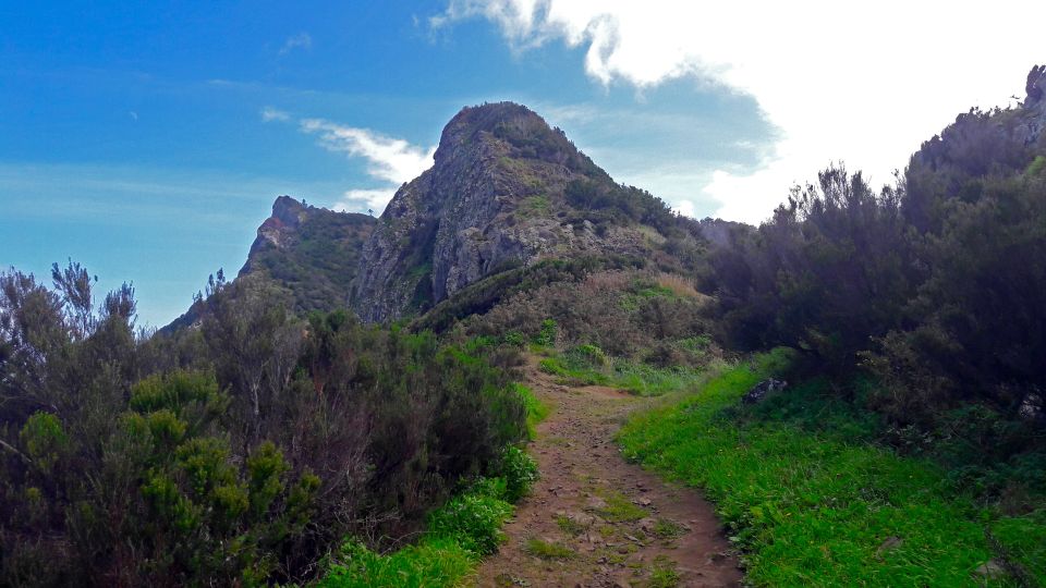 From Funchal: Machico to Porto Da Cruz Hike - Tour Highlights and Experience