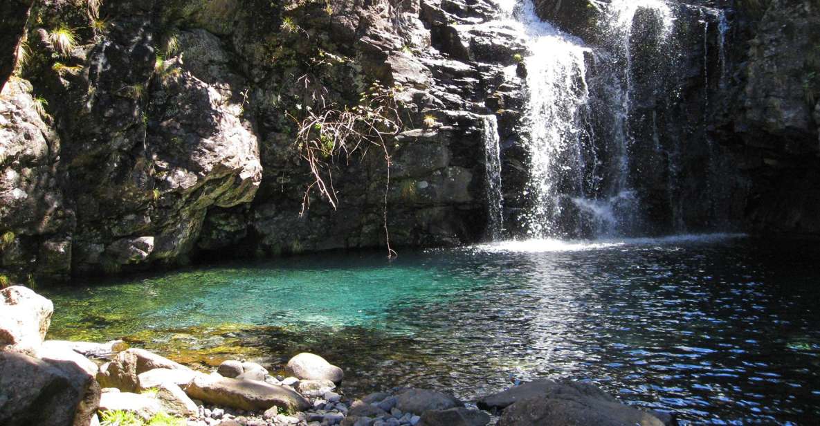 From Funchal: Madeira Lakes Levada Guided Hike - Refreshing Dip in Mountain Waters