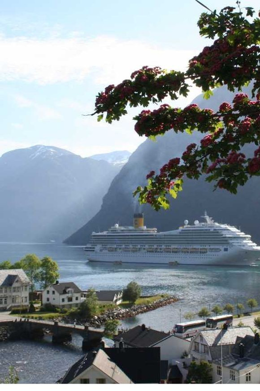 From Hellesylt: The Best of Geiranger Shore Excursion - Journey Through Mountains and Waterfalls