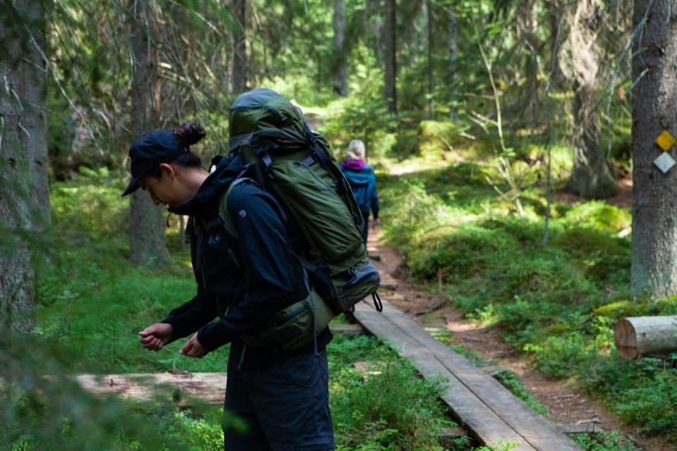 From Helsinki: Mushroom Hunting Tour in a National Park - Tour Itinerary