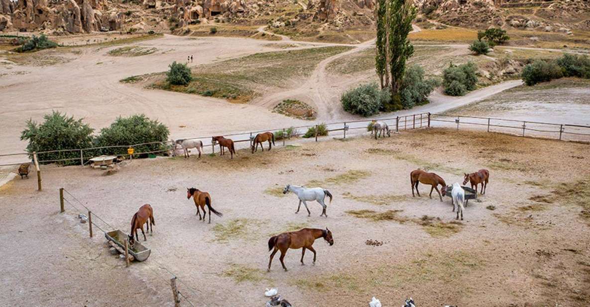 From Istanbul: Cappadocia, Ephesus, & Pamukkale Private Tour - Discover North Cappadocia