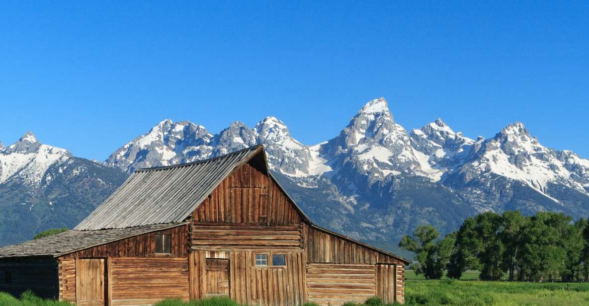 From Jackson Hole: Half-Day Grand Teton Wildlife Tour - Wildlife Spotting